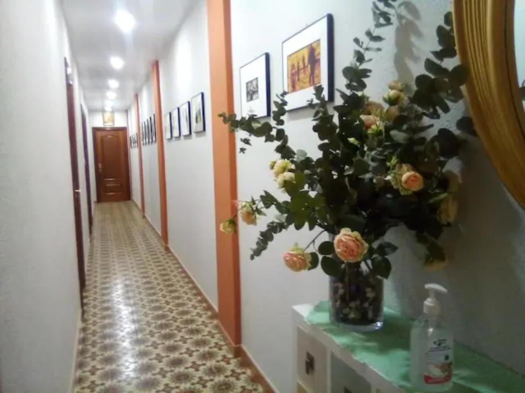 Las Golondrinas Zaragoza Habitacion Individual Kültér fotó